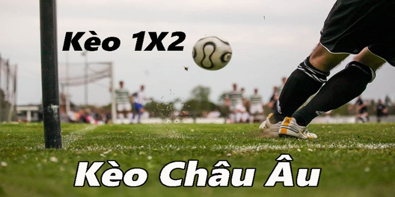 Kèo châu Âu xuất hiện ở tất cả cuộc chạm trán trên hệ thống nhà cái