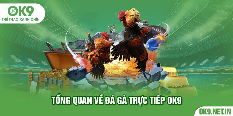 Tổng quan về đá gà OK9