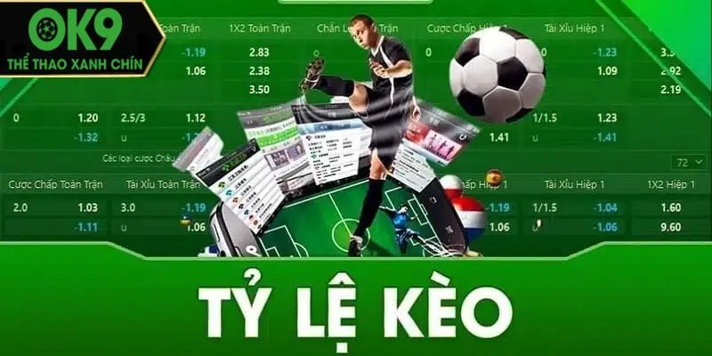 Quy trình cá cược bóng online từ app OK9