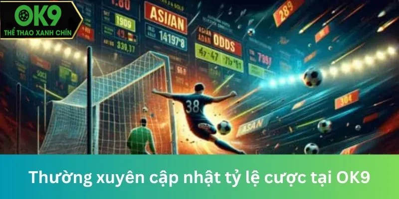 Thường xuyên cập nhật tỷ lệ cược tại OK9