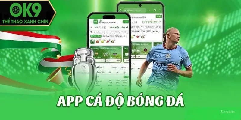Tiến hành tải xuống ứng dụng cá cược thể thao OK9