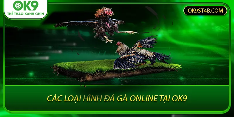 Các loại hình đá gà online tại OK9