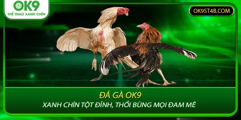 Đá gà OK9 - Xanh chín tột đỉnh, thổi bùng mọi đam mê