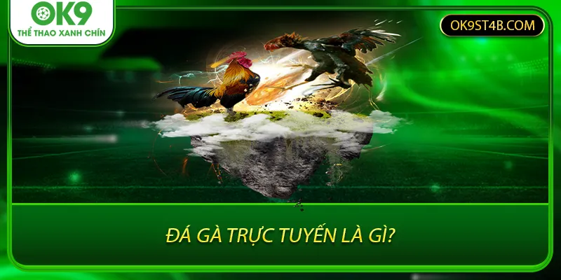 Đá gà trực tuyến là gì?