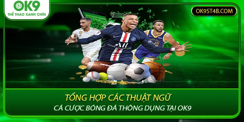 Tổng Hợp Các Thuật Ngữ Cá Cược Bóng Đá Thông Dụng Tại Ok9